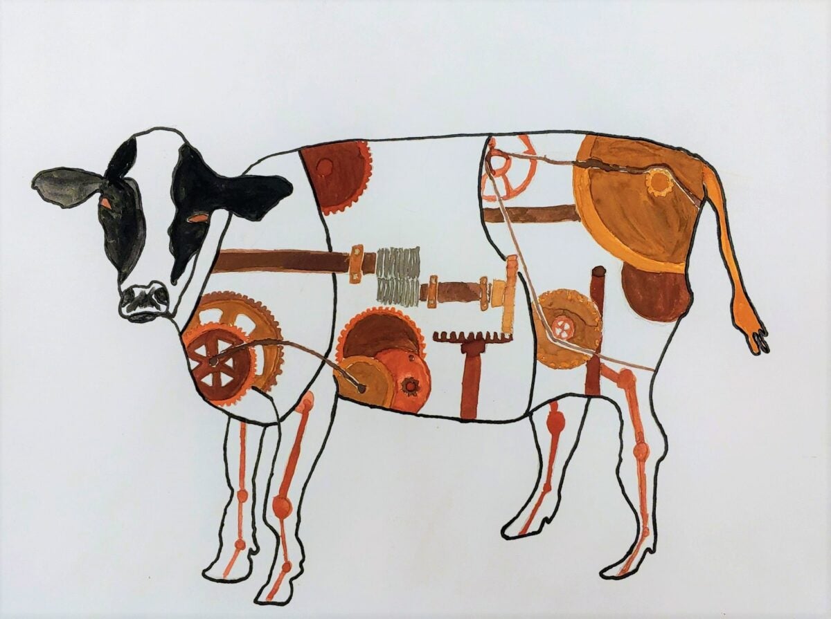 drawing of a cow
