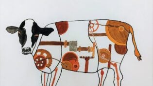 drawing of a cow