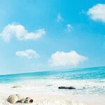 Summer Programs & Opportunities for Students