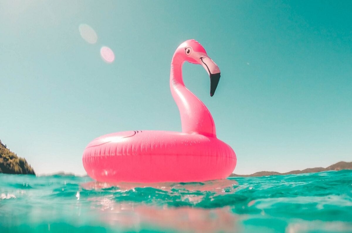flamingo floatie in a pool