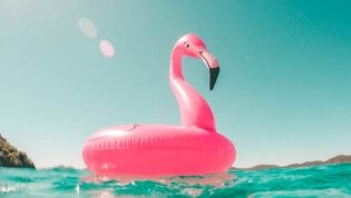 flamingo floatie in a pool
