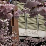 Ballard High School with cherry blossoms