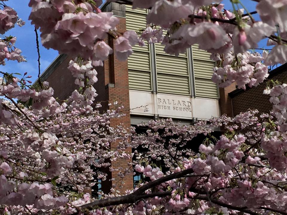 Ballard High School with cherry blossoms 