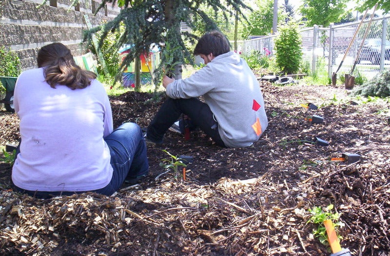 Students planting