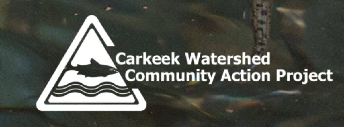 Carkeek Watershed Logo and background of swimming salmon.