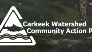 Carkeek Watershed Logo and background of swimming salmon.