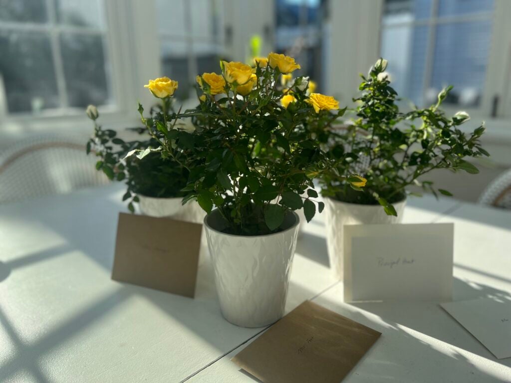 Flowers in pots on a table.