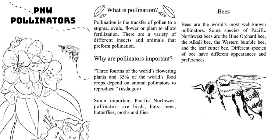 Bees and flowers. Text: What is pollination? Transfer of pollen. Why are pollinators important? world food crops. Pollinators birds, bats, bees, butterflies, moths, and flys. Bees are the most well known. NW Blue Orchard and Alkali