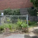 Outside BHS Greenhouse Staff and Students working in garden. Crop