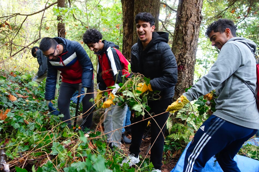 4 students on district grounds removing invasive plants