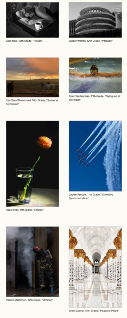 Photo Collage with names on the website and Virtual district webpage.