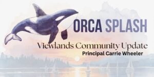 Orca Splash 6-12-26